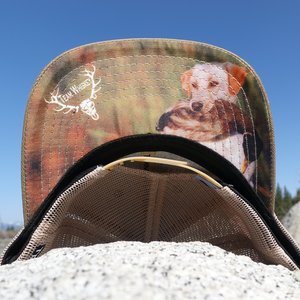 Bird Dog (Curved Bill)