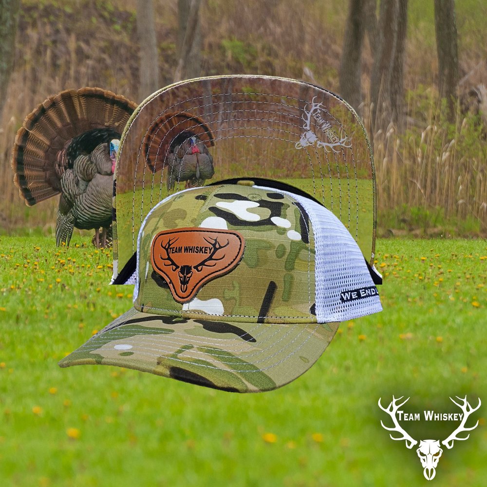 Turkey (Curved Bill)